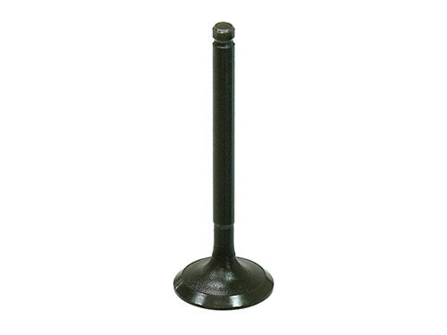 INTAKE VALVE AU-092121