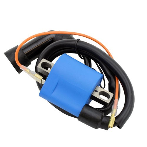 EXTERNAL IGNITION COIL W/CAP - RM06003