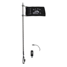 Hyper Color LED Whips – Platinum