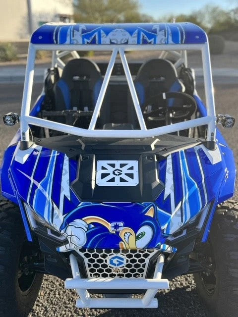 POLARIS RZR 200 CAGE - Geiser Performance