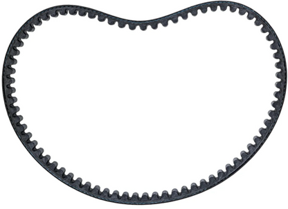 Polaris RZR 200 Ultimate Racing clutch kit