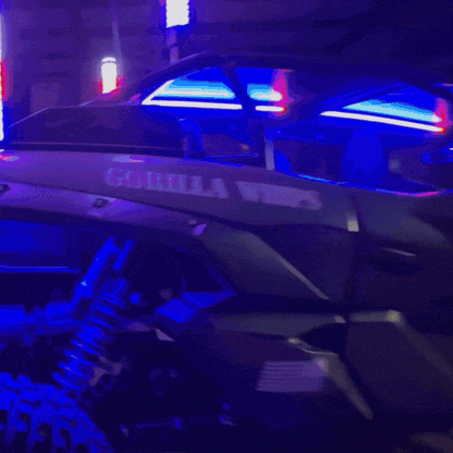Chunky Monkey Apex Single - Full Vehicle Lighting Packages  (15% Off Rock Lights & Strips W/ LED Whips)